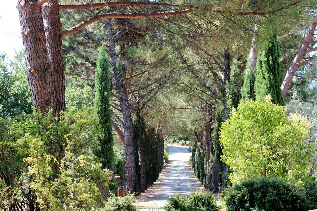 Agriturismo Antico Borgo Poggitazzi لورو تْشووفينّا المظهر الخارجي الصورة